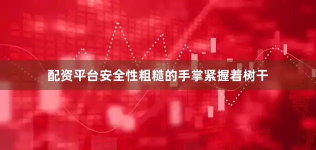 配资平台安全性粗糙的手掌紧握着树干