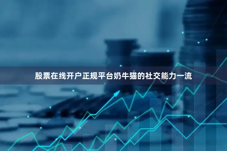 股票在线开户正规平台奶牛猫的社交能力一流