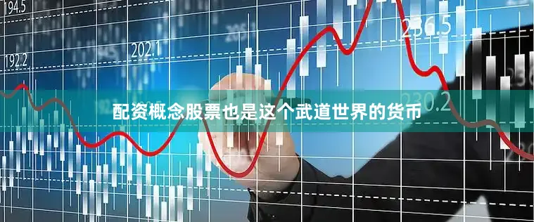 配资概念股票也是这个武道世界的货币