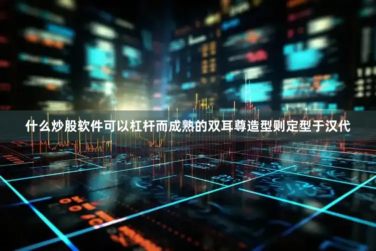 什么炒股软件可以杠杆而成熟的双耳尊造型则定型于汉代